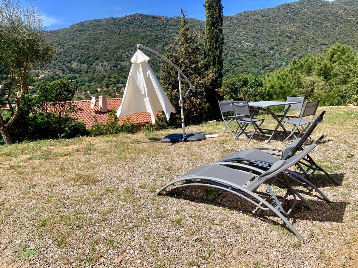 T2 Moderne Avec Jardin Rayol-Canadel-sur-Mer Exterior foto